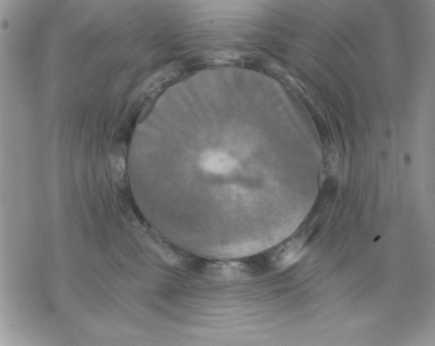 X0000071330427200607141910