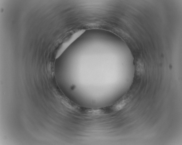 X0000071330428200607141910