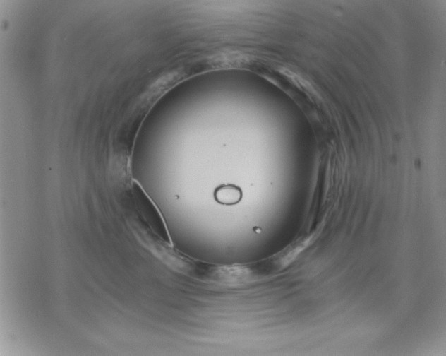 X0000071330429200607141910