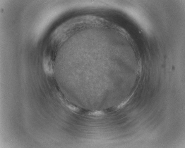 X0000071330431200607141910