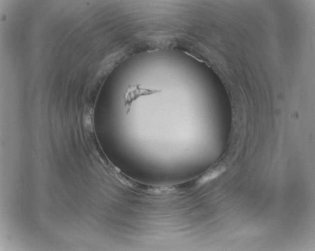 X0000071330432200607141910