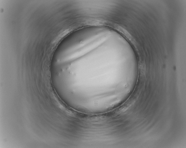 X0000071330433200607141909