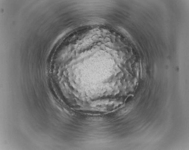 X0000071330435200607141909