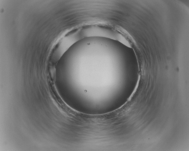 X0000071330436200607141909