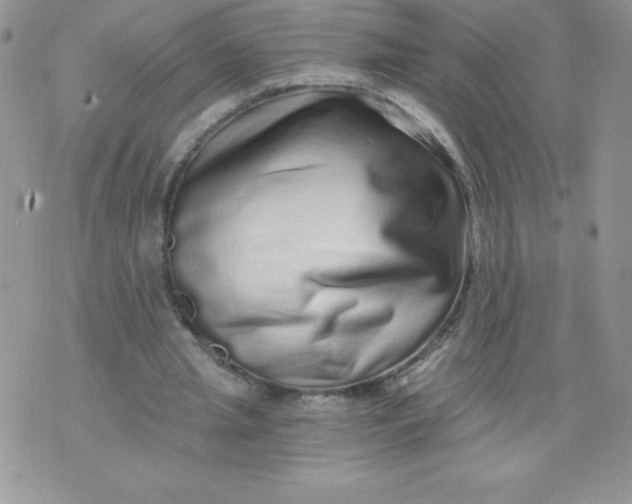 X0000071330437200607141909