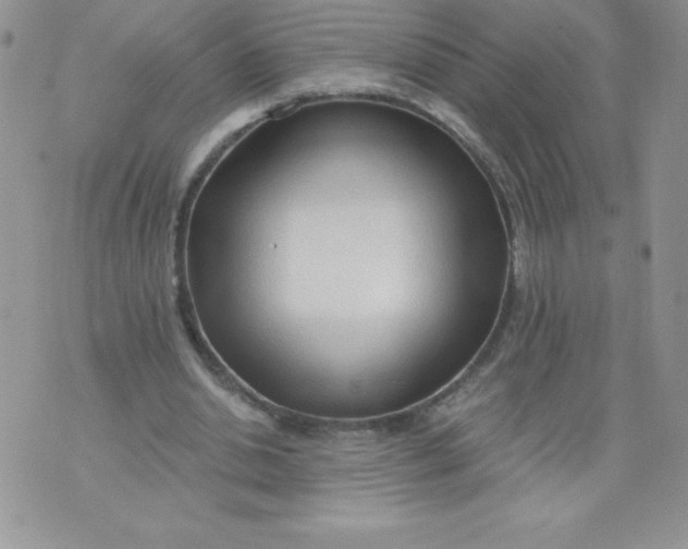 X0000071330438200607141909