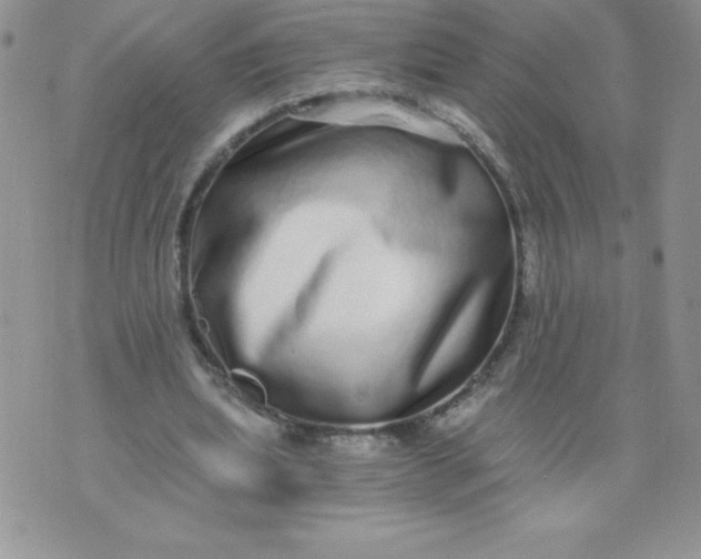 X0000071330439200607141909