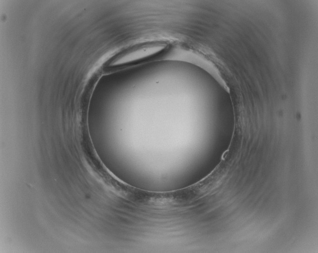 X0000071330440200607141909