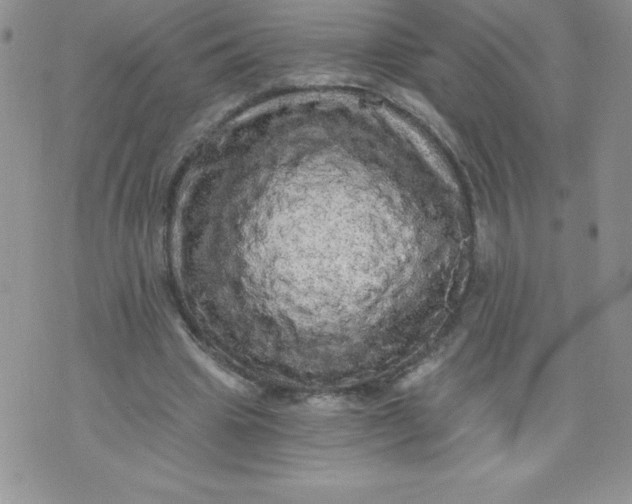 X0000071330441200607141909