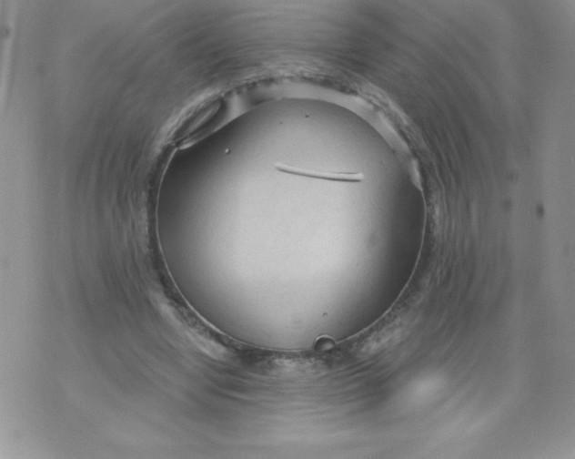 X0000071330442200607141909