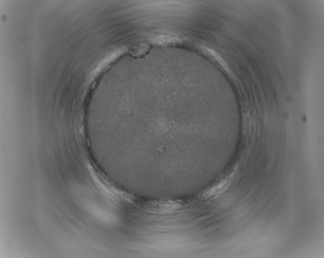 X0000071330443200607141909