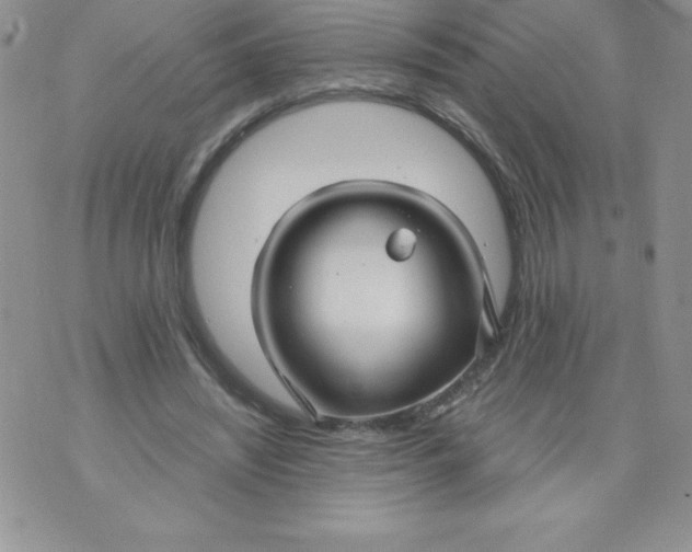 X0000071330444200607141909