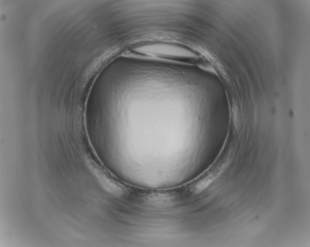 X0000071330445200607141909