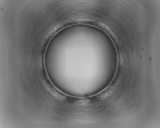 X0000071330447200607141909