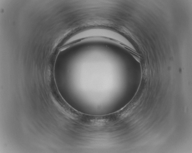 X0000071330448200607141909