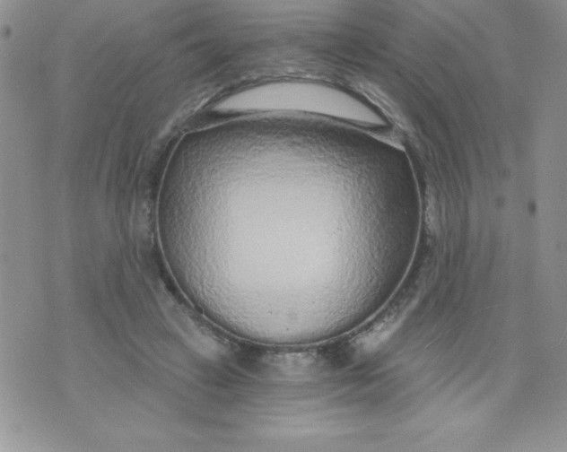 X0000071330449200607141909