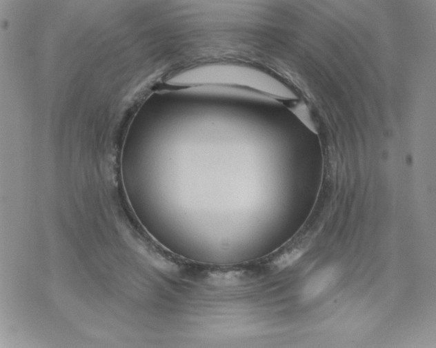 X0000071330450200607141909