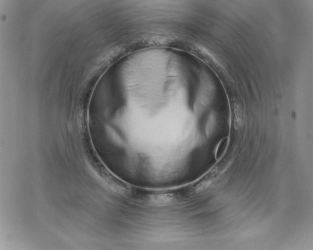 X0000071330451200607141910