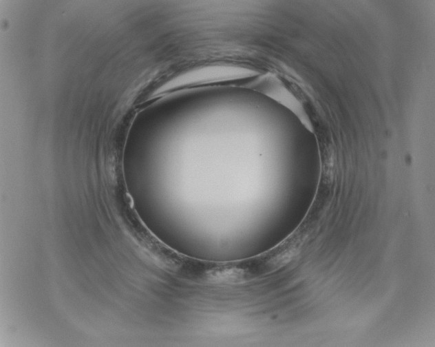 X0000071330452200607141910