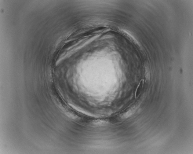 X0000071330453200607141910