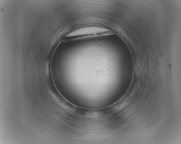 X0000071330454200607141910