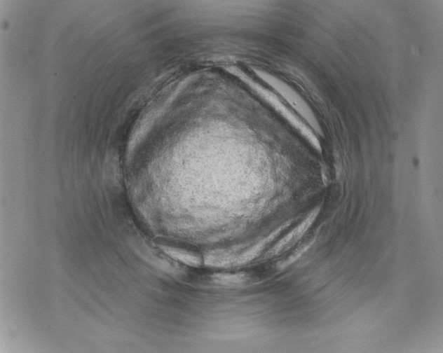 X0000071330457200607141910