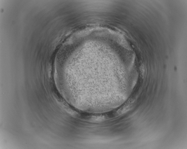 X0000071330458200607141910