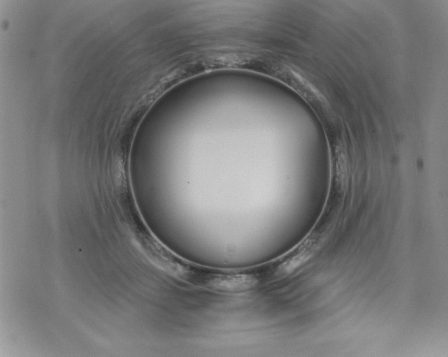 X0000071330459200607141910