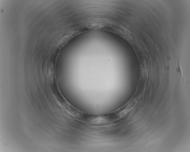 X0000071330460200607141910