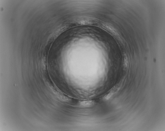 X0000071330461200607141910