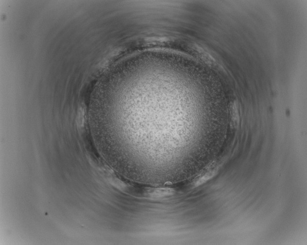 X0000071330463200607141910