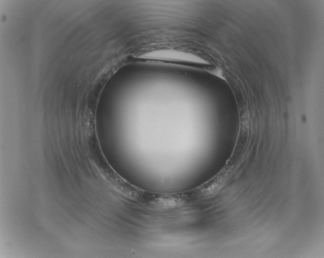 X0000071330464200607141910