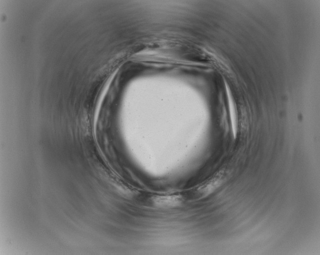 X0000071330465200607141910