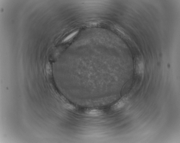 X0000071330467200607141910