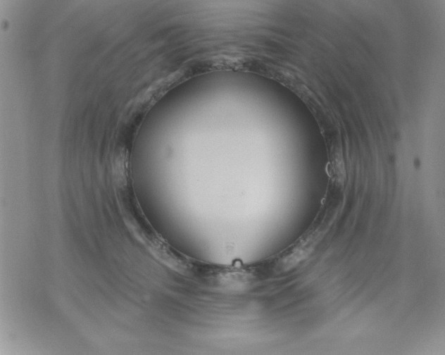 X0000071330468200607141910