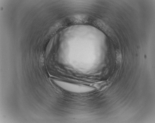 X0000071330469200607141910