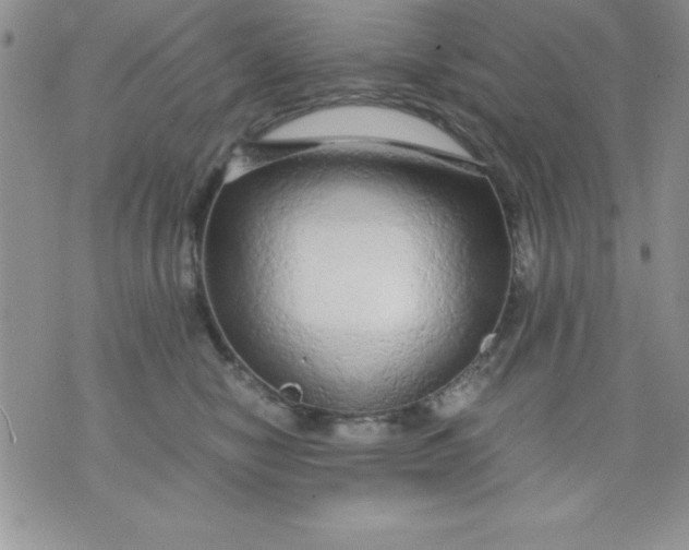 X0000071330470200607141910