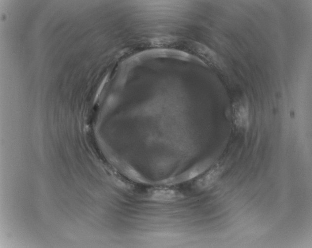 X0000071330471200607141910