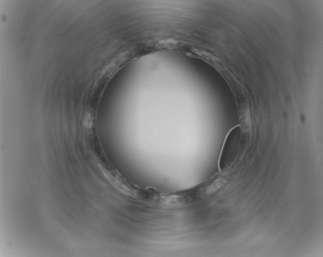 X0000071330472200607141910