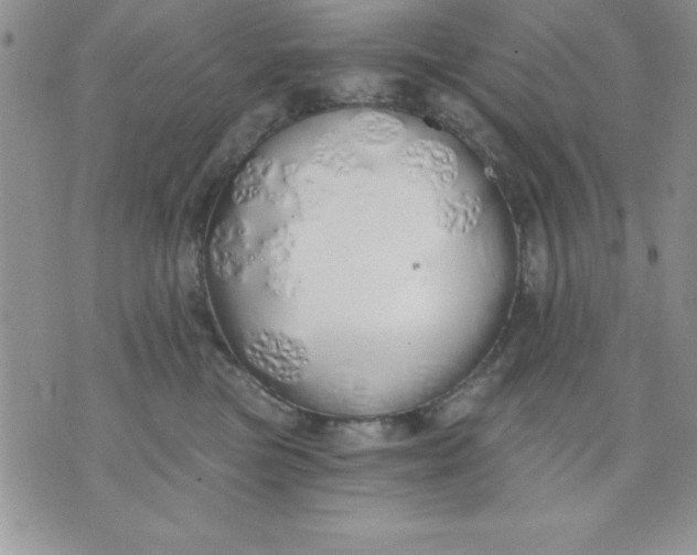 X0000071330473200607141910