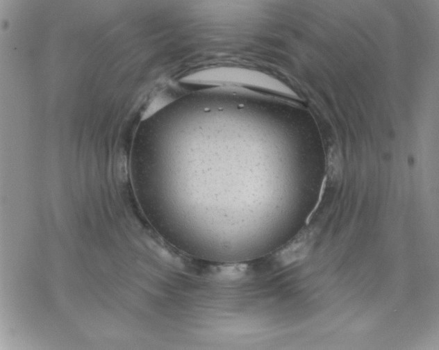 X0000071330474200607141910