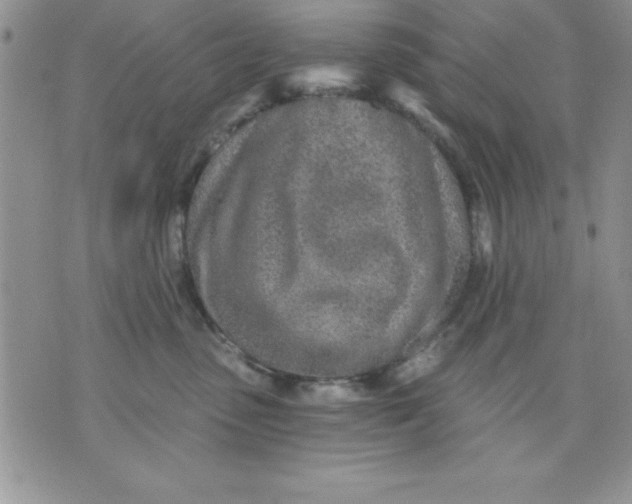 X0000071330475200607141910