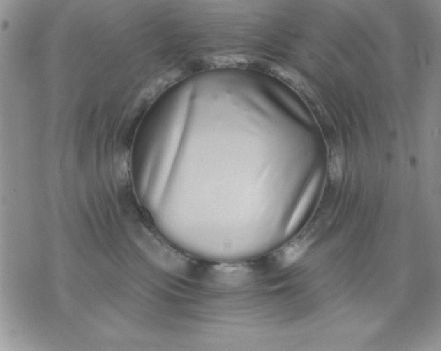 X0000071330477200607141910