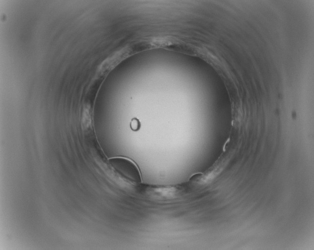 X0000071330478200607141910