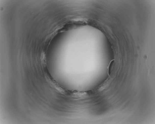 X0000071330480200607141910