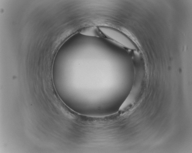 X0000071330481200607141909