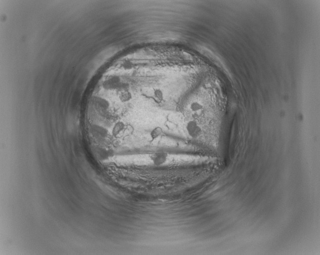 X0000071330483200607141909