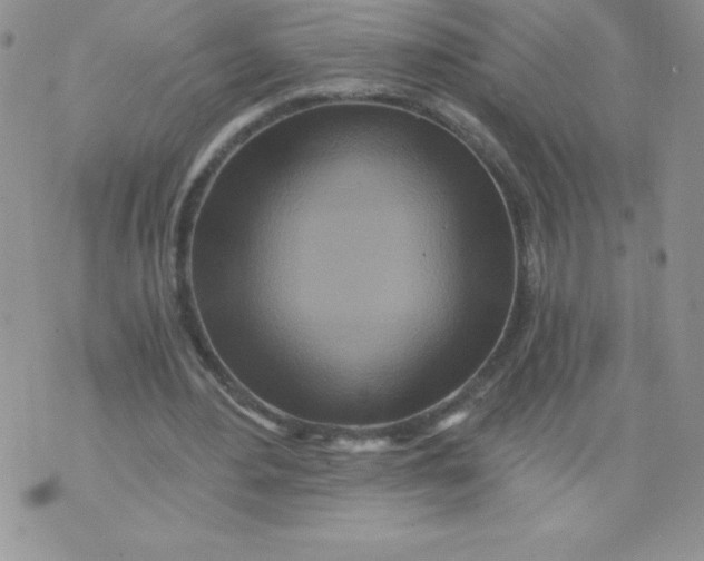 X0000071330484200607141909