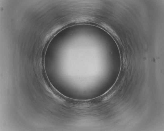 X0000071330485200607141909