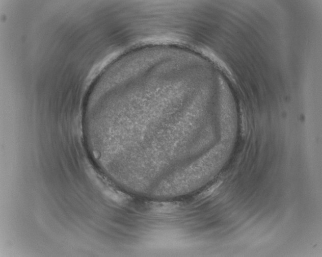 X0000071330486200607141909